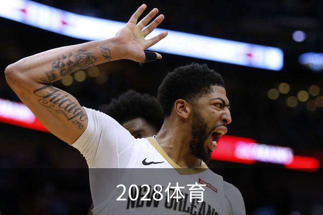 关于2028体育